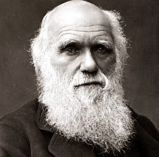 Evolutionary Theories in Plant&nbsp;Biology